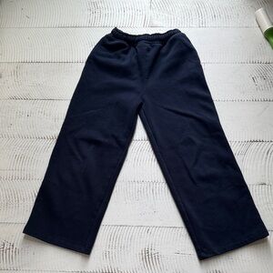 Zara Straight Leg Navy Wide Pants